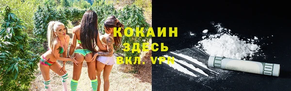 apvp Белокуриха