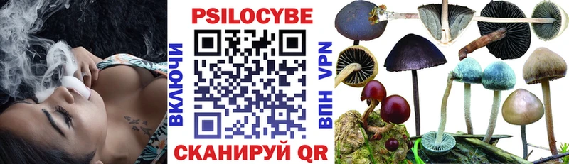 где можно купить наркотик  Бородино  Псилоцибиновые грибы GOLDEN TEACHER 