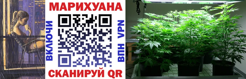 блэк спрут ссылка Бородино Конопля индика